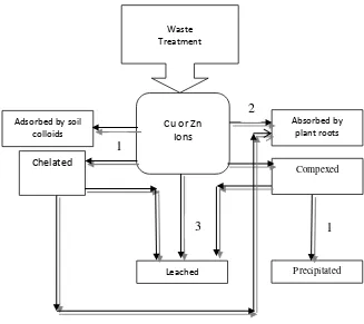 Fig. 3.  The possibility of the waste-origin Cu and Zn  removal from soil labile fractions  after waste treatment (1 – Adsorption or precipitation, 2 – Absorption by plant roots, 3 – leaching) (Salam, 2017)