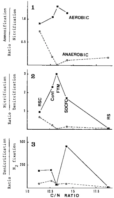 Fig. 4. Relation between the total carbon content cation (I), nitrification to denitrification (2), and of soil and the ratios of ammonification to nitrifi- denitrification to N, fixation (3)