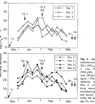 Fig. 1. Five day running means of daily mean air temperature and 5-d total amounts of rainfall