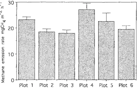 Fig. 3. Bars emission Mean rates of methane throughout the growth period. Plot I-Plot 6: see Fig