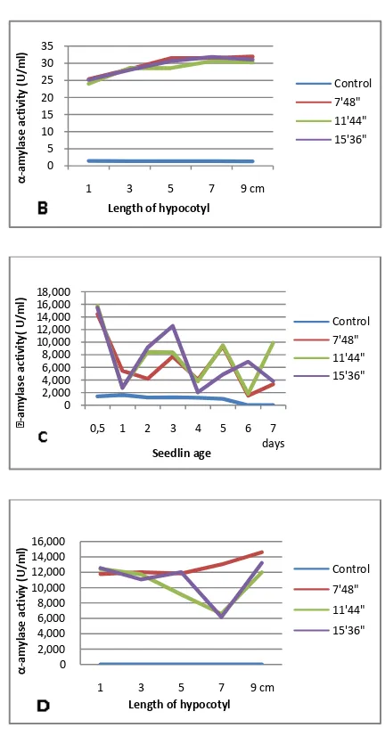 Figure 1.  Changes in the activity of amylase in legum seedling of vulgaristurtle  bean, (C) -Phaseolus :  (A) kidney bean and (B) black Glycine max:  white soybean, and (D) Vigna radiata: mung bean within7 days of germination  