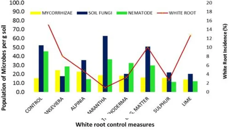 Table 1. The disease incidence of  white root rot  observed on cassava as the indicator plant