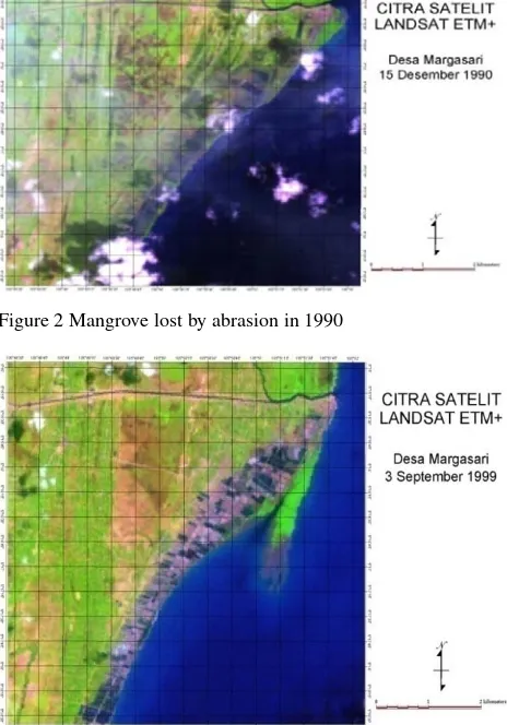 Figure 3 Success story of mangroves rehabilitation in 1998 