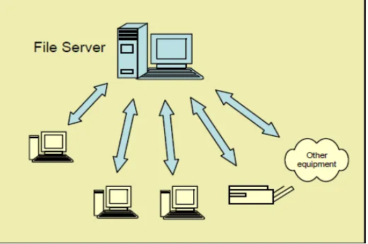 Figure 2.8 a Client-Server Network 