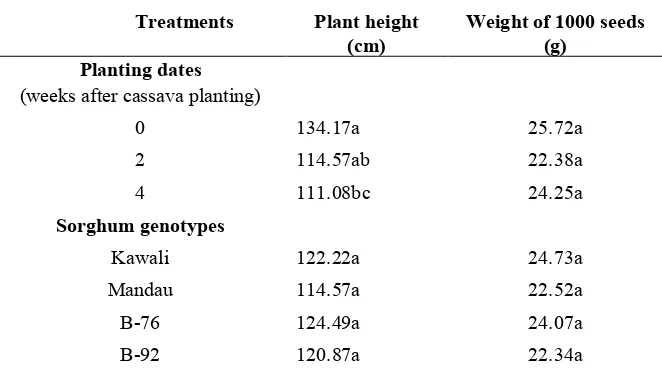 Table 1.  Effect of planting dates and genotypes on plant height and  weight of 1000 seeds of sorghum plants intercropped with cassava  
