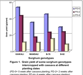 Table 7.  Seed number of different sorghum genotypes as affected by date of intercropping with cassava  