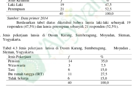 Tabel 4.3 Jenis pekerjaan  lansia di Dusun Karang, Sumberagung,     Moyudan , 