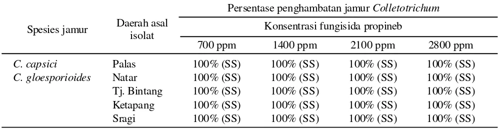 Tabel 2. Diameter koloni jamur Colletotrichum spp. pada media PDA yang telah dicampur dengan fungisidapropineb pada tujuh hari setelah aplikasi