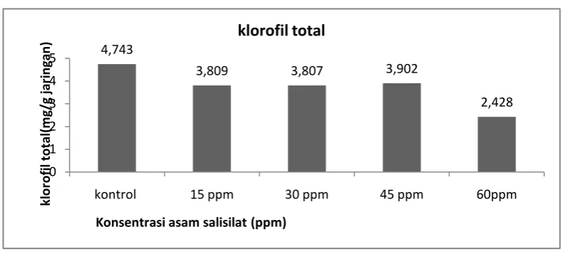 Gambar 5.  Grafik kandungan klorofil total planlet cabai merah pada medium MS dengan 