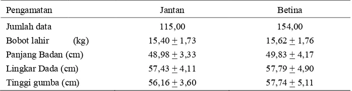 Tabel 1. Bobot Lahir dan Ukuran Tubuh sapi Bali  