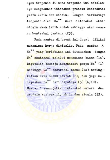 Gambar b menunjukkan interaksi antara dua 