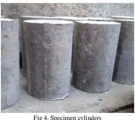 Fig 4. Specimen cylinders 