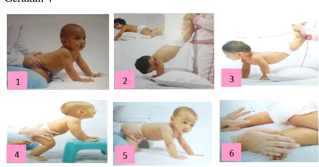 Gambar 2.9 Gerakan Baby Gym Tahap 3 untuk Bayi Usia 7-9 Bulan 