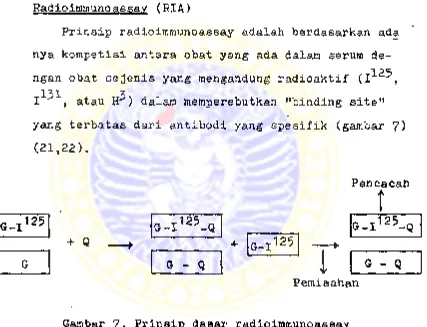 Gambar 7« Prinsip dasar radioimmunoassay