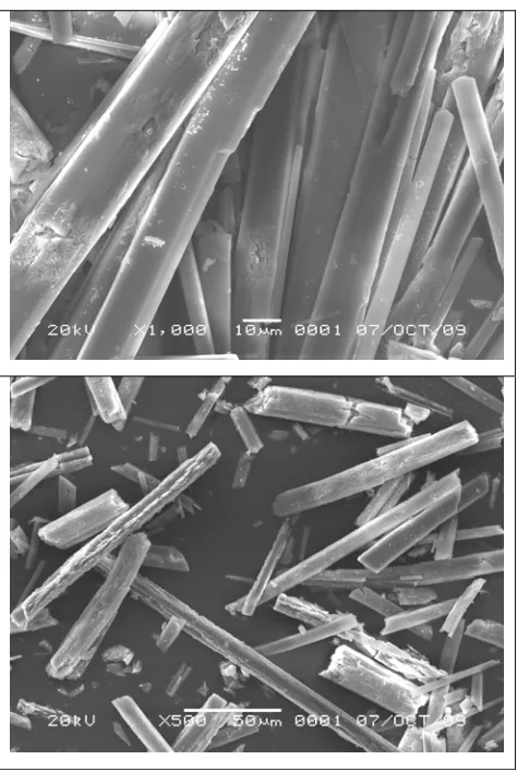 Gambar 1.2 Morfologi Kalsium Sulfat Diamati dengan Scanning Electron Microscopy (SEM) 