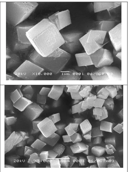Gambar 1.5 Morfologi Kalsium Karbonat yang Diamati dengan SEM 