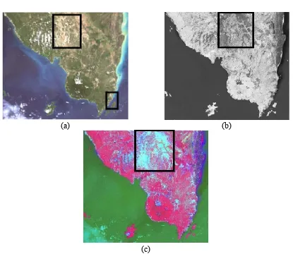 Gambar  3.(c)  Citra satelit dan indikasi batuan non-logam potensial [4] 