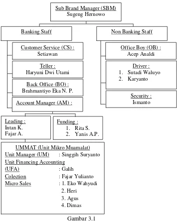 Gambar 3.1 Struktur Organisasi Bank Muamalat Indonesia (BMI) Cabang Pembantu Salatiga 