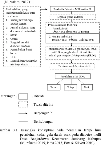 Gambar 3.1 Kerangka konseptual pada penelitian terapi humor terhadap perubahan kadar gula darah acak pada diabetes mellitus tipe II di Desa Banjardowo Kecamatan Jombang Kabupaten Jombang (Murakami 2015, Isma 2013, Fox & Kilvert 2010) 