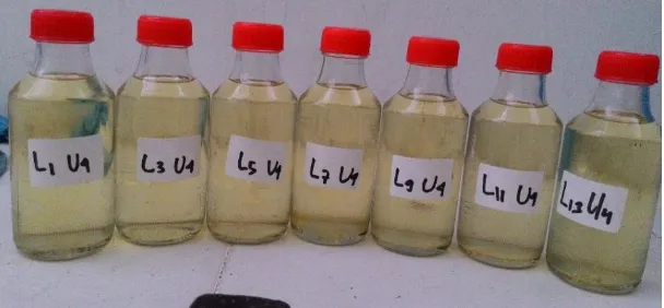 Gambar 1. Produk etanolisis PKO 