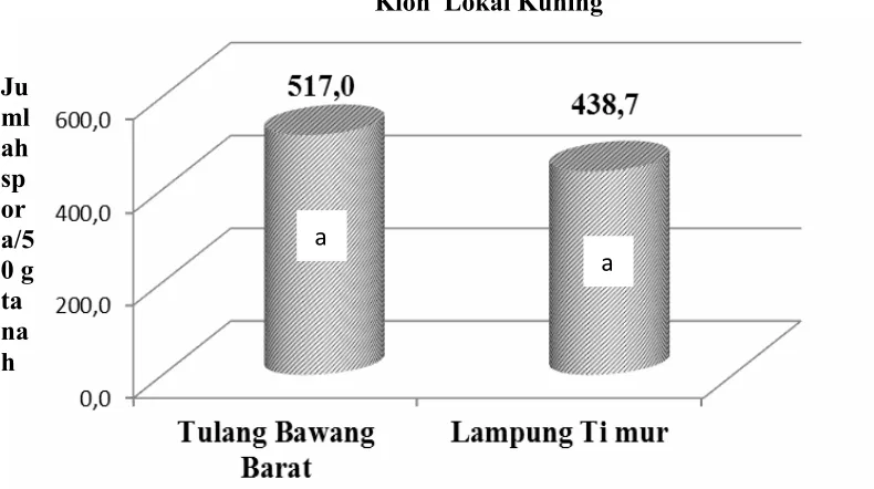 Gambar 2. Jumlah spora fungi mikoriza arbuskular di rizosfir ubi kayu Klon Thailand di Tulang Bawang Barat dan Lampung Timur
