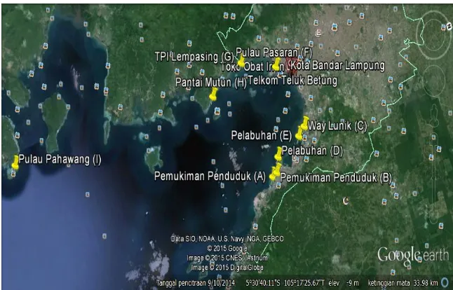 Gambar 1.  Lokasi sampling di Perairan Teluk Lampung 