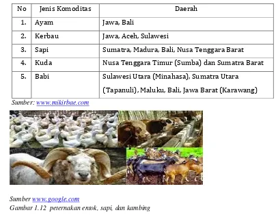 Gambar 1.12  peternakan entok, sapi, dan kambing  