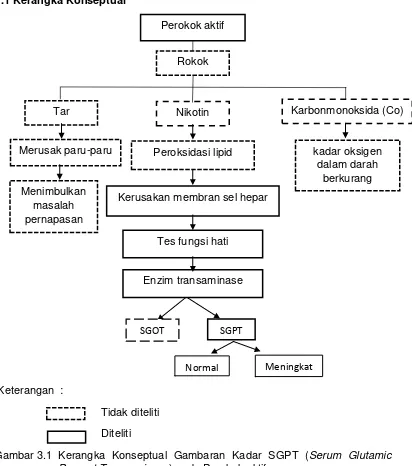 Gambar 3.1 Kerangka Konseptual Gambaran Kadar SGPT (Serum Glutamic 