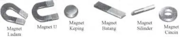 Gambar 2.1 Macam-macam Magnet (Sumber: Sulistiyowati, 2010:  102) 