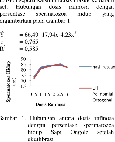 Gambar 1. Hubungan antara dosis rafinosa dengan persentase spermatozoa hidup Sapi Ongole setelah ekuilibrasi 