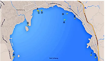 Gambar 1.  Lokasi sampling di pesisir Teluk Lampung 