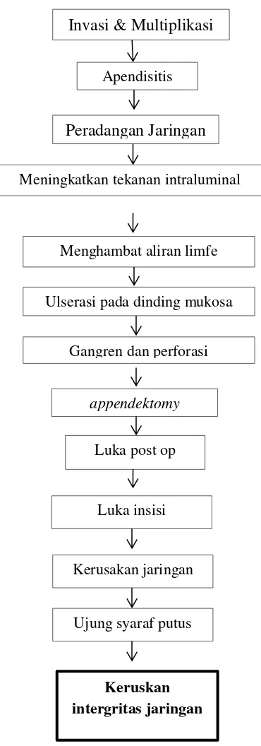 Gambar 2.1 Patofisiologi appendektomy 