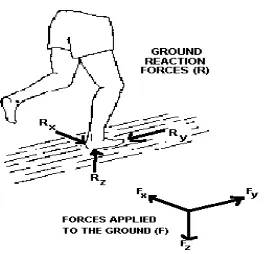 Gambar 2.1 ground reaction force (GRF) 