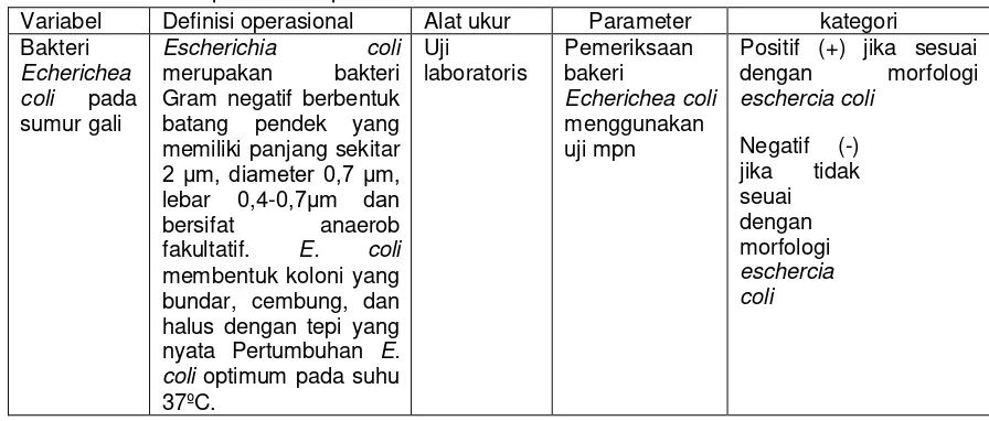 Tabel 4.1 Definisi operasional penelitian 