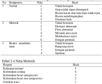 Tabel 2.4 Nilai Motorik 
