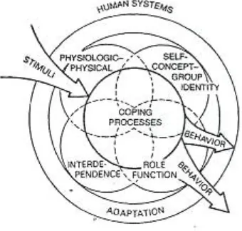 Gambar 2.2 Representasi diagram tentang sistem adaptasi manusia        (diambil dari Roy, C & Andrews, H 1999