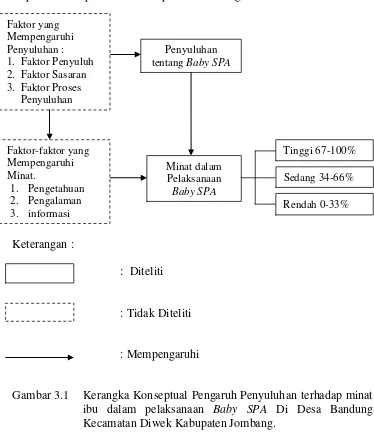 Gambar 3.1  Kerangka Konseptual Pengaruh Penyuluhan terhadap minat ibu dalam pelaksanaan Baby SPA Di Desa Bandung Kecamatan Diwek Kabupaten Jombang