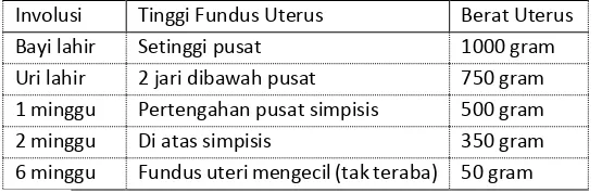 Tabel 2.2 Perubahan Involusi Uterus 