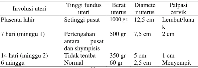 Tabel  2.1 Perubahan-Perubahan Normal Pada Uterus Selama Post Partum 