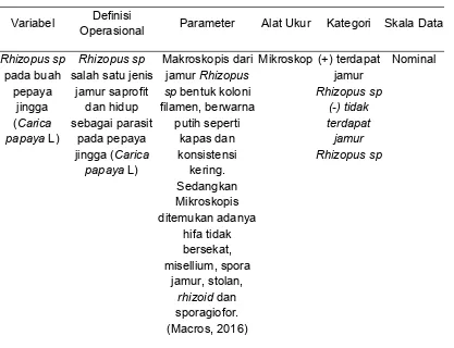 Tabel 4.1 Definisi Operasional tentang “Identifikasi Jamur Rhizopus sp padabuah Pepaya Jingga(Carica papaya L)”