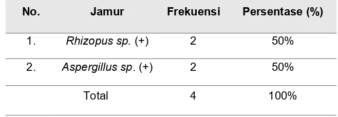 Tabel 5.1 Distribusi Frekuensi Hasil Identifikasi Jamur Rhizopus sp Pada BuahPepaya Jingga Pada Hari Ke-4 Setelah Pemetikan