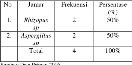 Tabel 5.1 Distribusi Frekuensi Hasil Identifikasi Jamur Rhizopus sp Pada Buah Pepaya Jingga Pada Hari Ke-4 Setelah Pemetikan 