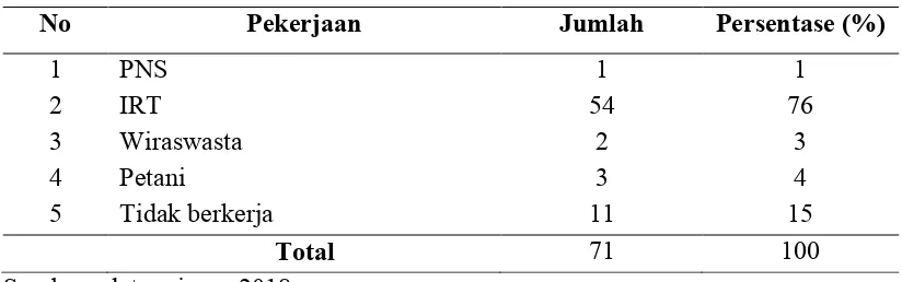 Tabel 5.5 Kakteristik Responden berdasarkan Pekerjaan di Desa Denanyar dan Desa Banjardowo Kecamatan Jombang Kabupaten Jombang 24 April – 5 Mei 2018 