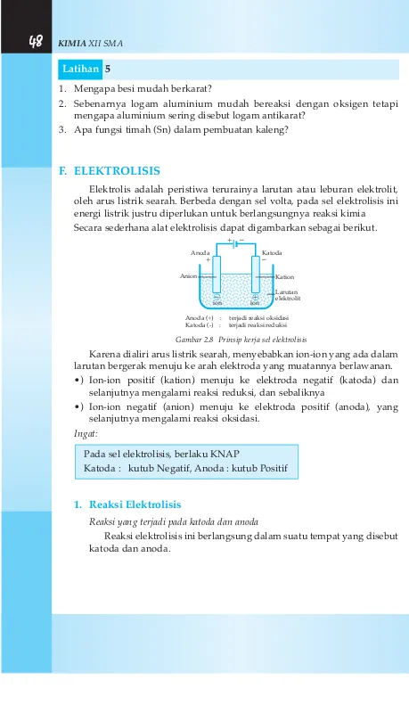 Gambar 2.8  Prinsip kerja sel elektrolisis
