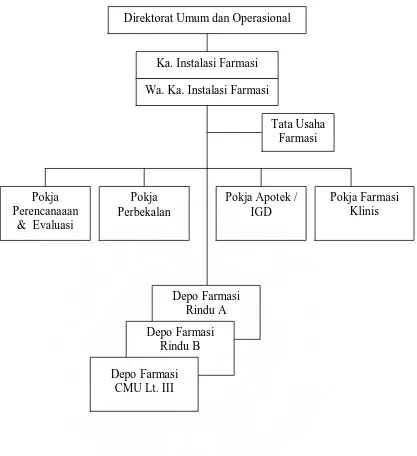 Gambar 2. Struktur Organisasi Instalasi Farmasi RSUP H. Adam Malik 