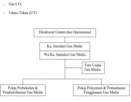 Gambar 4. Struktur Organisasi Instalasi Gas Medis RSUP. H. Adam Malik 