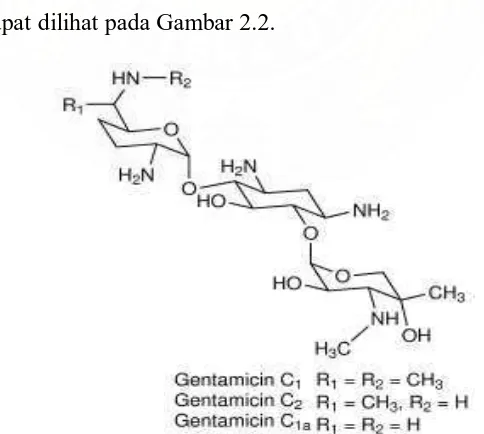 Gambar 2.2 Struktur Gentamisin 