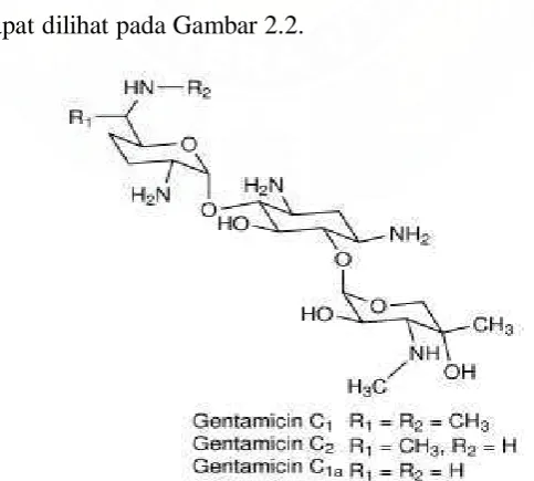 Gambar 2.2 Struktur Gentamisin 