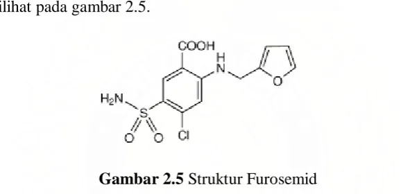 Gambar 2.5 Struktur Furosemid 