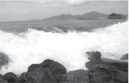 Gambar 2.2Gelombang Laut Merupakan Salah Satu Penyebab Pelapukan Batu Karang 